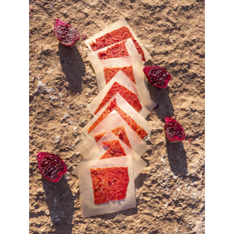 Prickly Cactus Fruit Leather Pack - Image 4